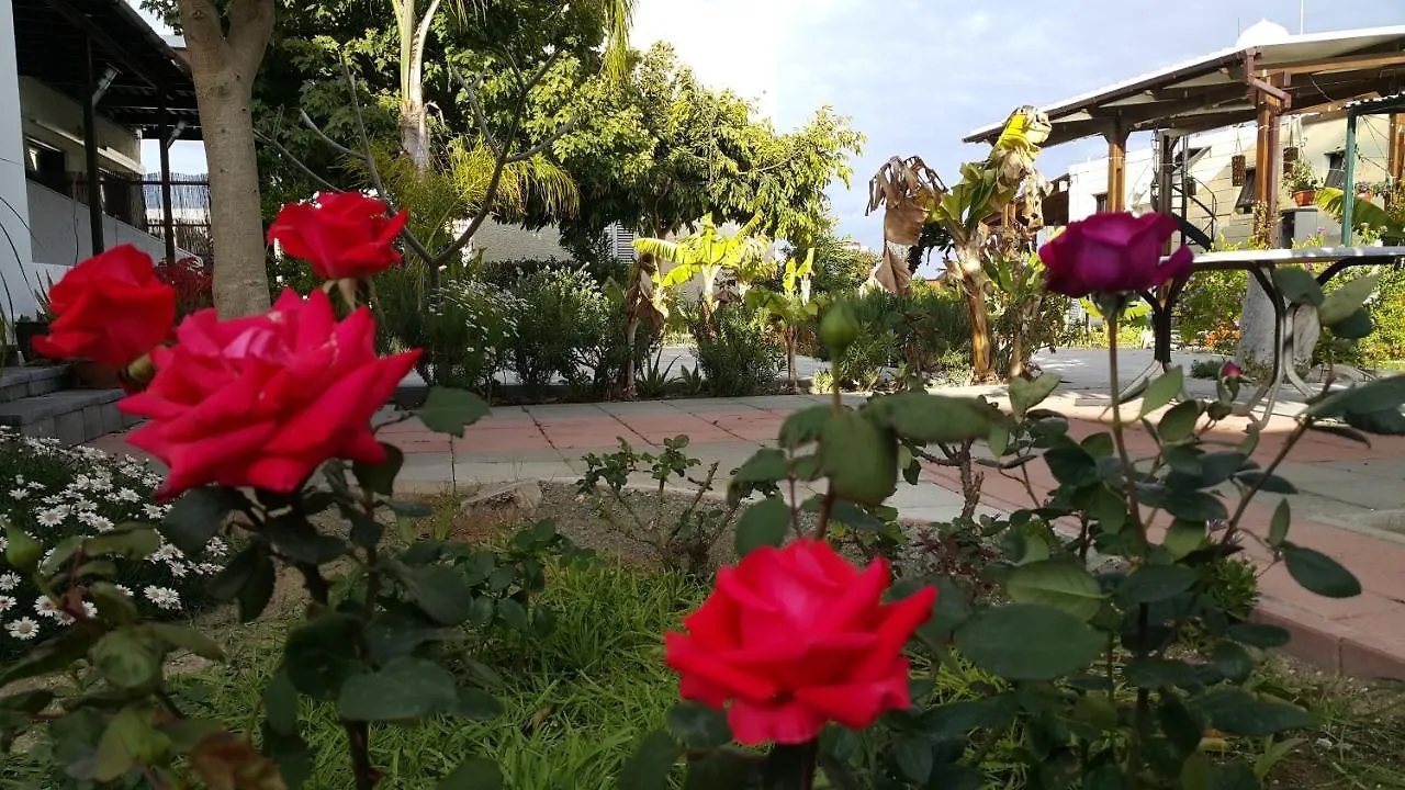 Near The Beach Aparment With Garden Perivolia Apartment